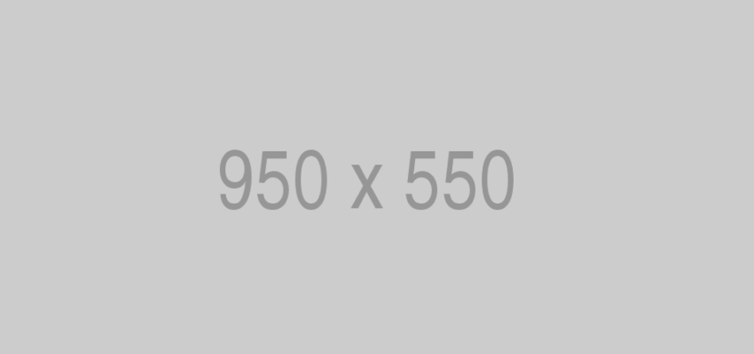 950×550